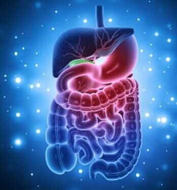 Sindirim-sistemi-sorunlari